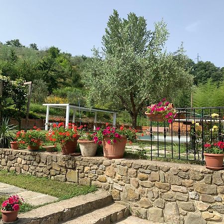 Guest House Torre Guelfa, Vinsantaia Филине Валдарно Екстериор снимка
